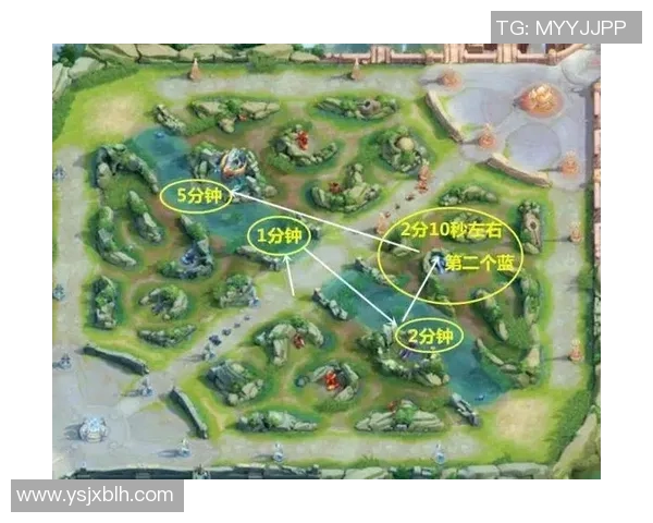 王者荣耀战术解析：深入剖析JDG战队的包夹策略与执行细节