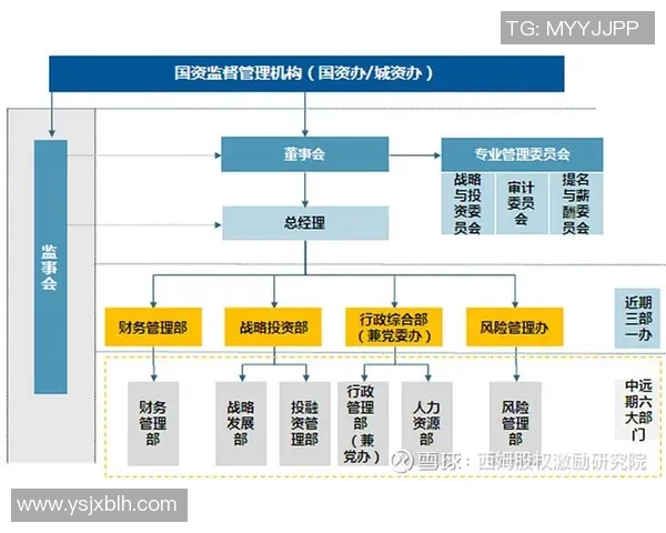 西安排球队的运营揭秘：排球深度分析与战略探讨
